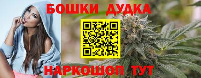 индика Пыть-Ях