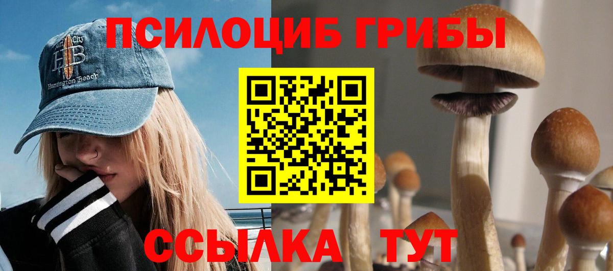 Галлюциногенные грибы Cubensis Ростов Великий