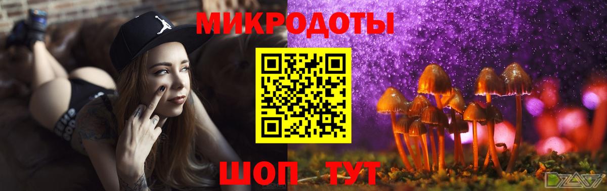 Галлюциногенные грибы Psilocybe  Вход с VPN  где купить наркоту  Ростов Великий 